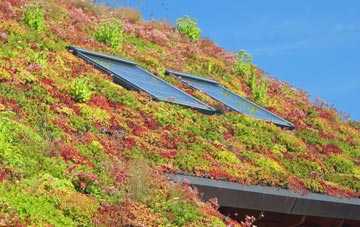 Whitehouse Lower living roof systems