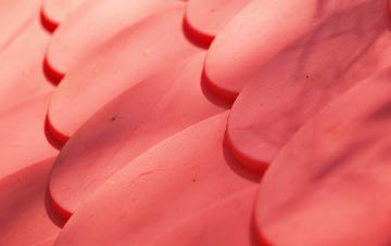 Whitehouse Lower plastic roof costs